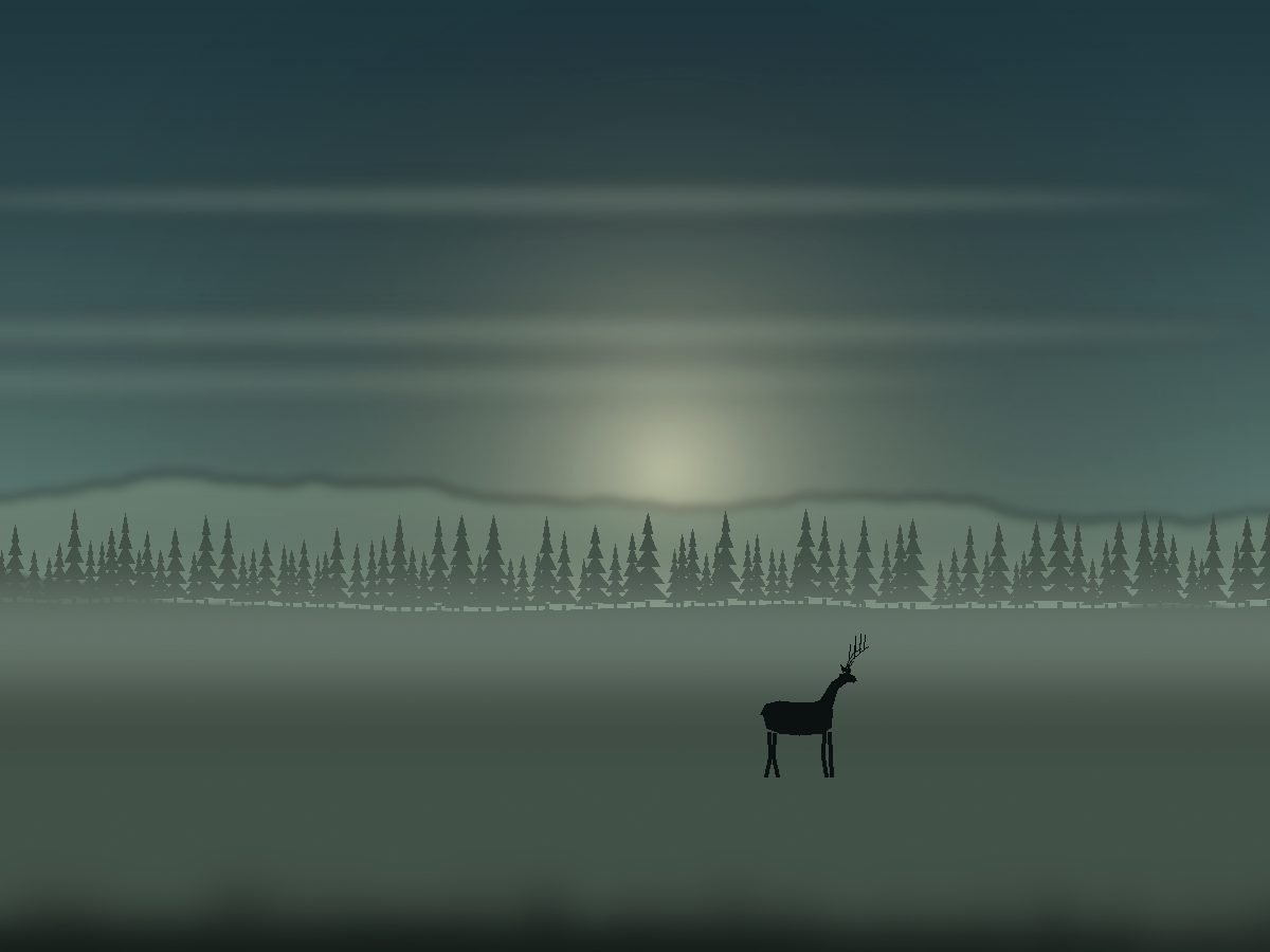 Northern Lights Camp